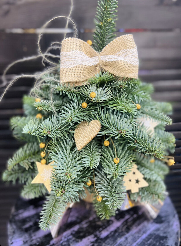 Елочка эко, артикул F1236946 - 3500 рублей, доставка по городу. Flawery - доставка цветов