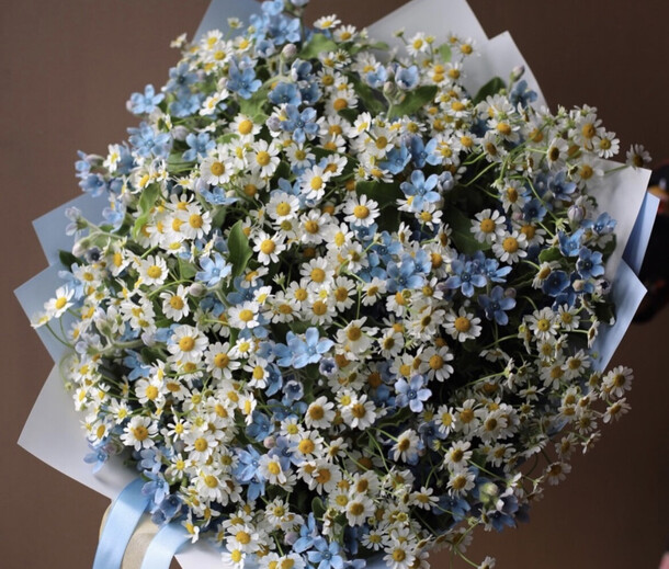 Букет из ромашек и оксипеталума «ромашковая поляна», красивый букет цветов, шикарный, премиум цветы., артикул F1127383 - 48315 рублей, доставка по городу. Flawery - доставка цветов
