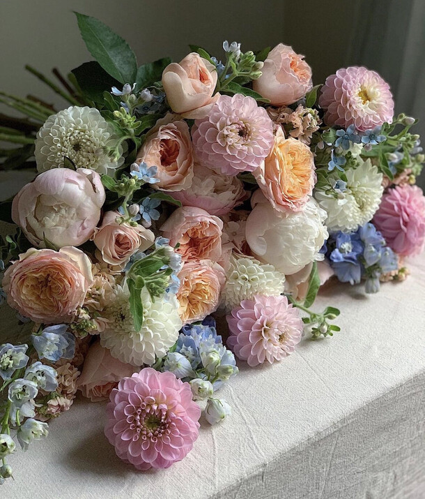 Букет из георгин, пионовидных роз и пионов «градиент», красивый букет цветов, шикарный, премиум цветы, пион, роза., артикул F1127424 - 112736 рублей, доставка по городу. Flawery - доставка цветов