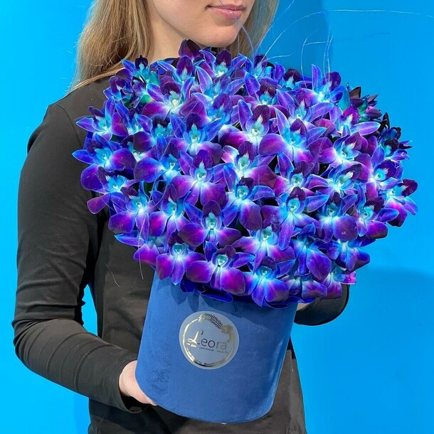 Цветы в коробке. Орхидеи космос. Композиция 609, артикул F1445960 - 6500 рублей, доставка по городу. Flawery - доставка цветов