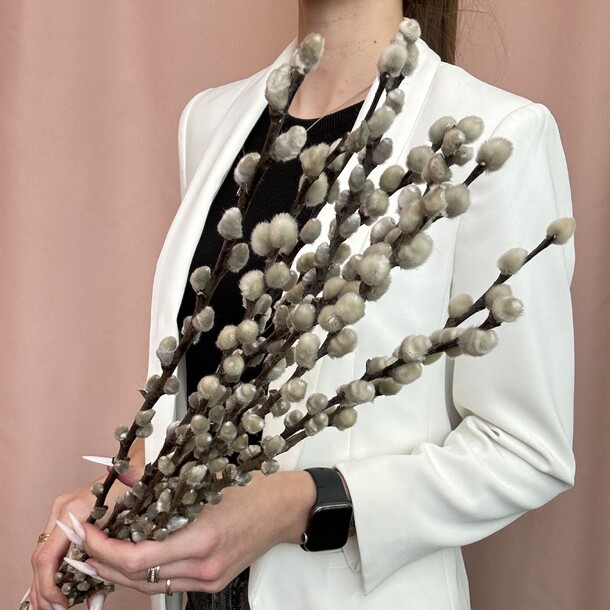 Верба 70см 11шт, артикул F1268312 - 3790 рублей, доставка по городу. Flawery - доставка цветов