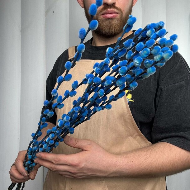 Натуральная верба (окрашена) 11шт, артикул F1404177 - 2862 рублей, доставка по городу. Flawery - доставка цветов