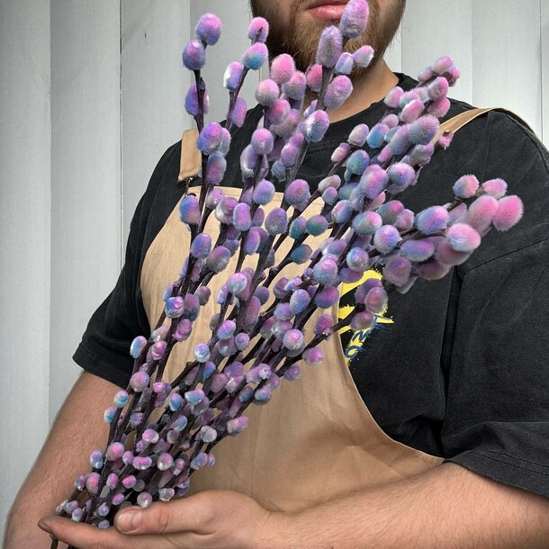 Верба натуральная 15шт (окрашена), артикул F1404178 - 3992 рублей, доставка по городу. Flawery - доставка цветов