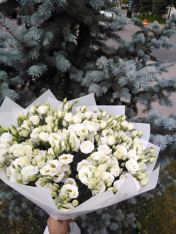 Снежинка, артикул F1138507 - 12890 рублей, доставка по городу. Flawery - доставка цветов