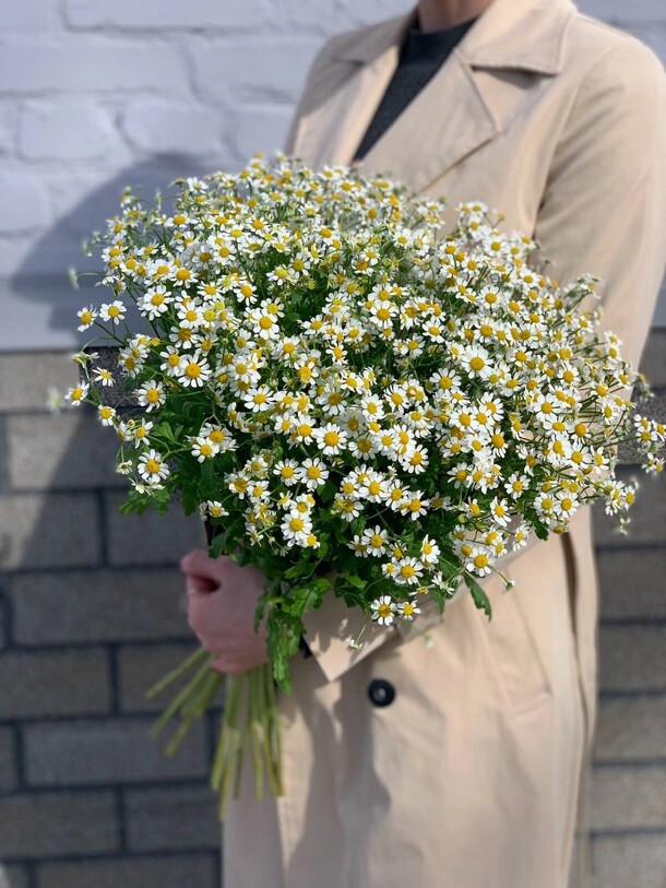 Солнышко ромашка, артикул F1410966 - 8989 рублей, доставка по городу. Flawery - доставка цветов