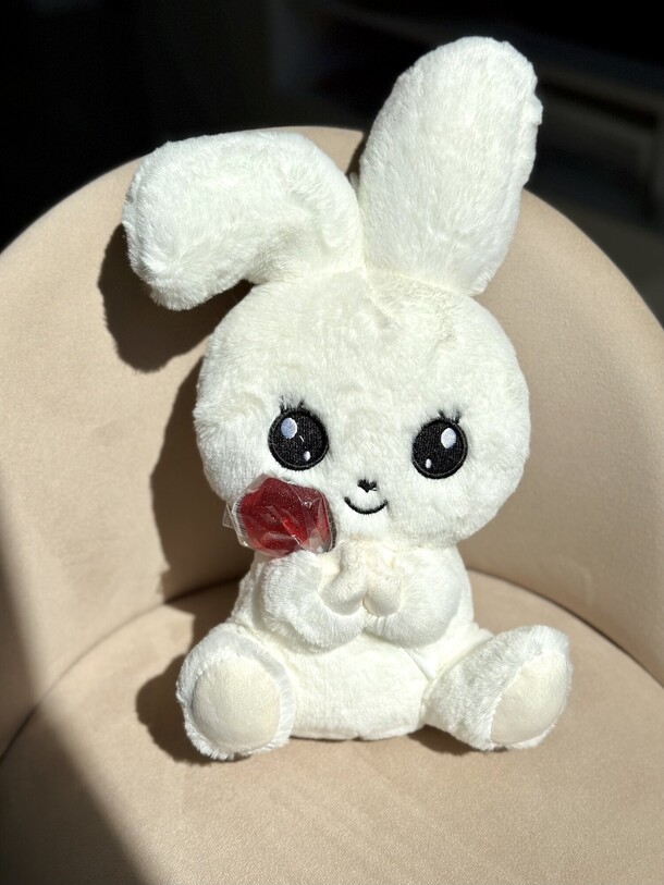 Кролик с леденцом ❤️, артикул F1275893 - 1560 рублей, доставка по городу. Flawery - доставка цветов