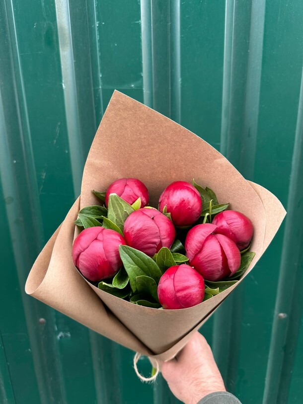 Пионы бордовые ред шарм 7шт, артикул F1328023 - 11500 рублей, доставка по городу. Flawery - доставка цветов