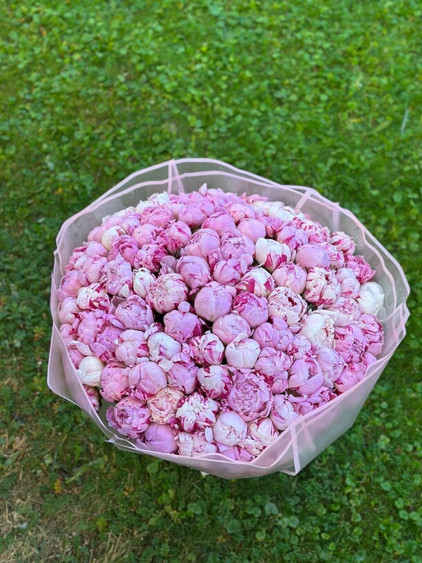 Пионы сара бернар 101шт, артикул F1328030 - 118000 рублей, доставка по городу. Flawery - доставка цветов