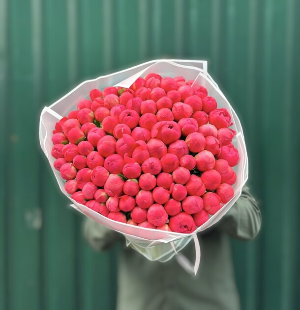 101 пион корал шарм, артикул F1328035 - 157025 рублей, доставка по городу. Flawery - доставка цветов