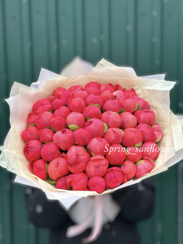 51 пион корал шарм премиум, артикул F1348039 - 70248 рублей, доставка по городу. Flawery - доставка цветов