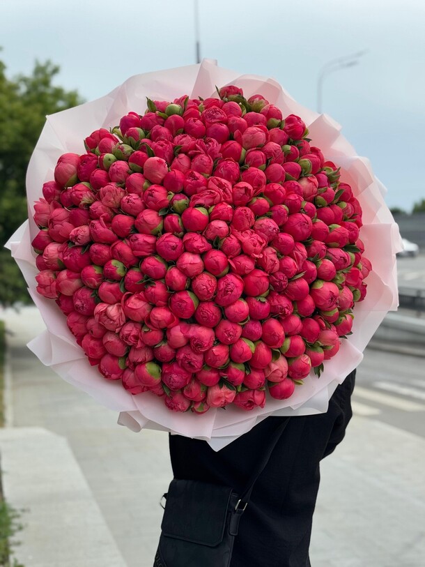 201 пион корал шарм премиум, артикул F1425629 - 214500 рублей, доставка по городу. Flawery - доставка цветов