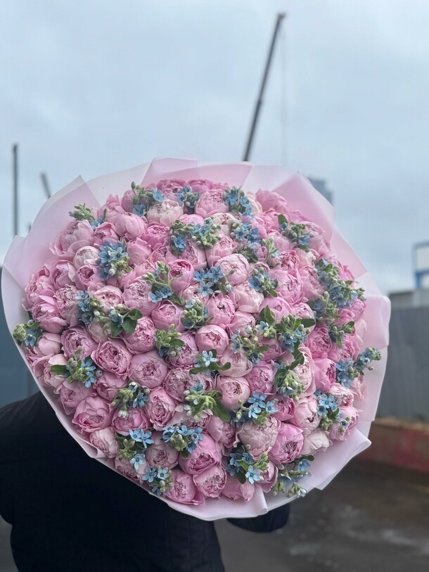 101 пион сара бернар с незабудками, артикул F1434609 - 135000 рублей, доставка по городу. Flawery - доставка цветов