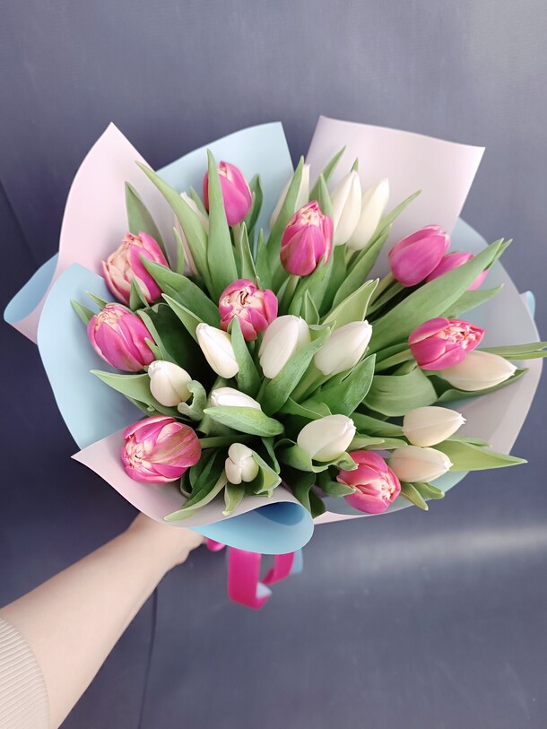 25 тюльпанов микс, артикул F1177297 - 5490 рублей, доставка по городу. Flawery - доставка цветов