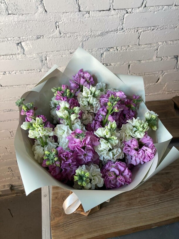 Букет из 19 маттиол двух сортов, артикул F1142093 - 9300 рублей, доставка по городу. Flawery - доставка цветов