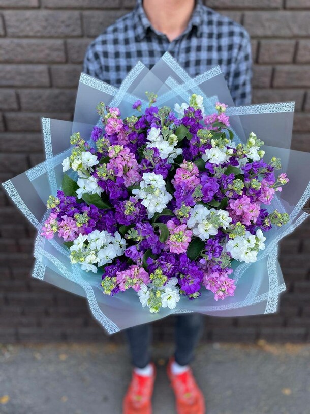 Букет из 29 маттиолы трёх сортов, артикул F1142094 - 13780 рублей, доставка по городу. Flawery - доставка цветов