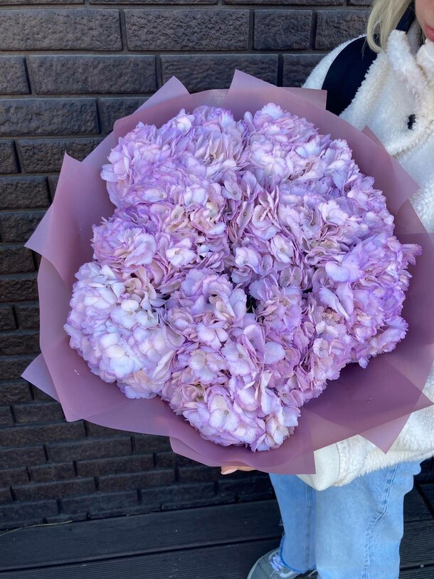 Гортензия 9, артикул F1142101 - 7300 рублей, доставка по городу. Flawery - доставка цветов