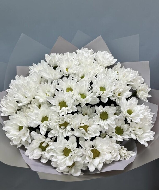 Кустовая хризантема "балтика", артикул F1199568 - 6000 рублей, доставка по городу. Flawery - доставка цветов