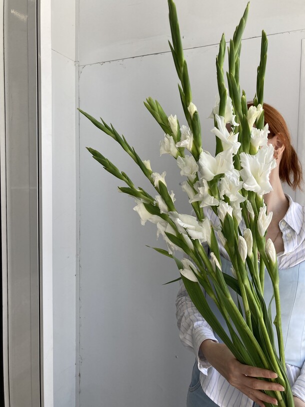 9 белых гладиолусов, артикул F1210950 - 9077 рублей, доставка по городу. Flawery - доставка цветов