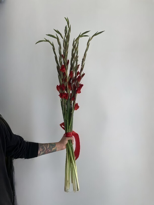 Букет из 9 красных гладиолусов, артикул F1216867 - 8198 рублей, доставка по городу. Flawery - доставка цветов