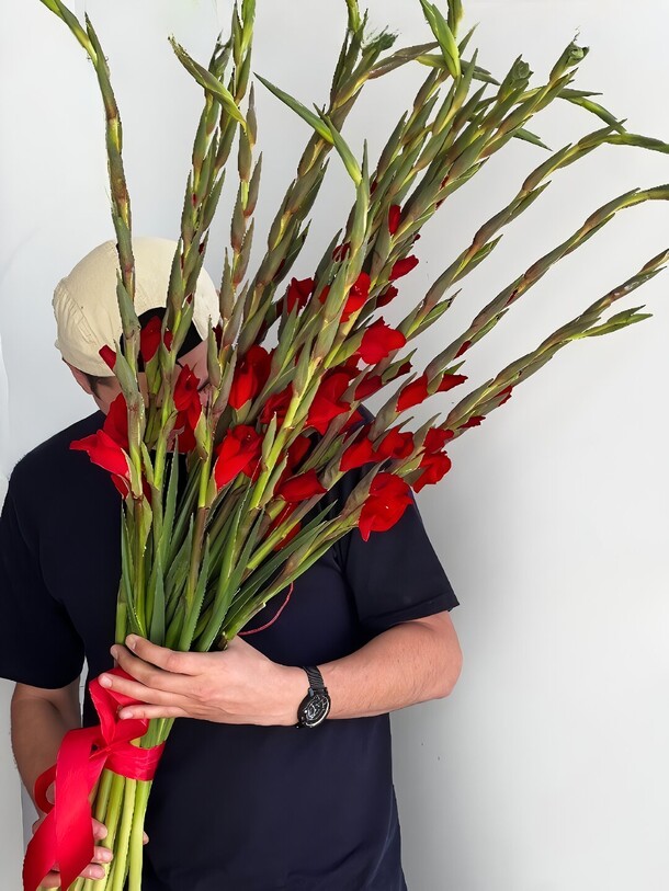Букет из 19 красных гладиолусов ц в е т к е в и ч, артикул F1216874 - 21082 рублей, доставка по городу. Flawery - доставка цветов