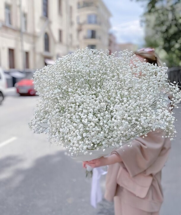 Нежное облако гипсофил, артикул F1219002 - 13315 рублей, доставка по городу. Flawery - доставка цветов