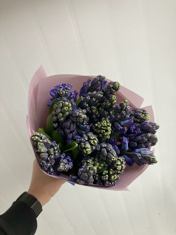 Букет из 25 гиацинтов, артикул F1223025 - 8100 рублей, доставка по городу. Flawery - доставка цветов