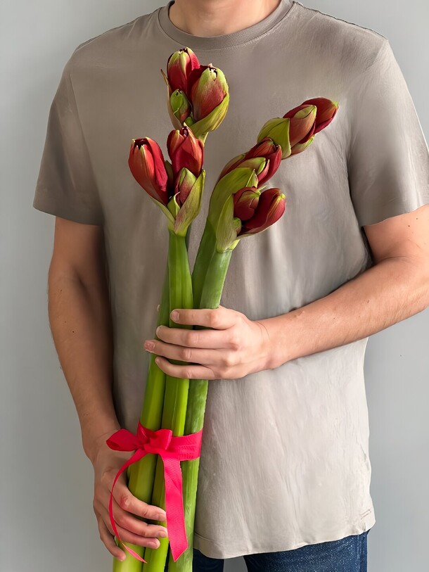 5 амариллисов под ленту, артикул F1226181 - 4900 рублей, доставка по городу. Flawery - доставка цветов