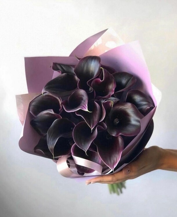 Букет из 19 черных калл, артикул F1234030 - 14708 рублей, доставка по городу. Flawery - доставка цветов