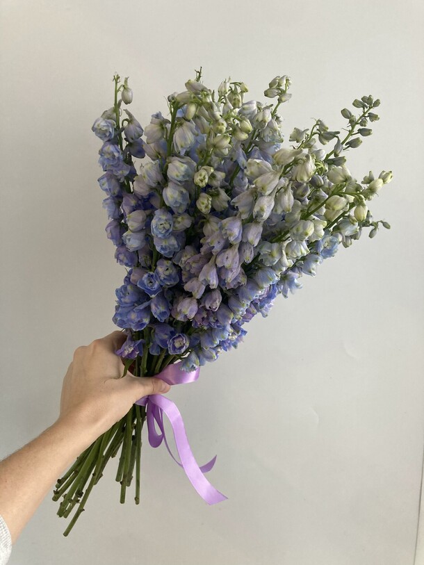 19 дельфиниумов, артикул F1237969 - 14000 рублей, доставка по городу. Flawery - доставка цветов