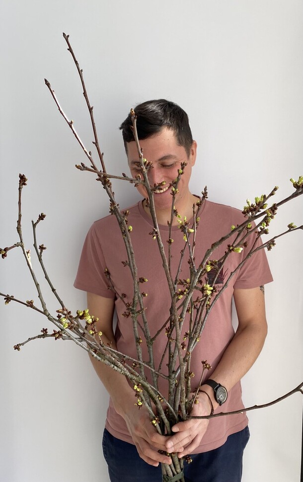 Ветки вишни, артикул F1263573 - 8944 рублей, доставка по городу. Flawery - доставка цветов