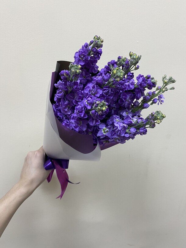 Букет из 9 маттиол, артикул F1275710 - 4700 рублей, доставка по городу. Flawery - доставка цветов