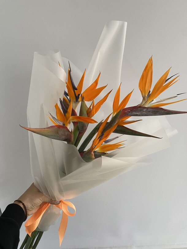 Букет из 5 стрелиций, артикул F1275730 - 7900 рублей, доставка по городу. Flawery - доставка цветов