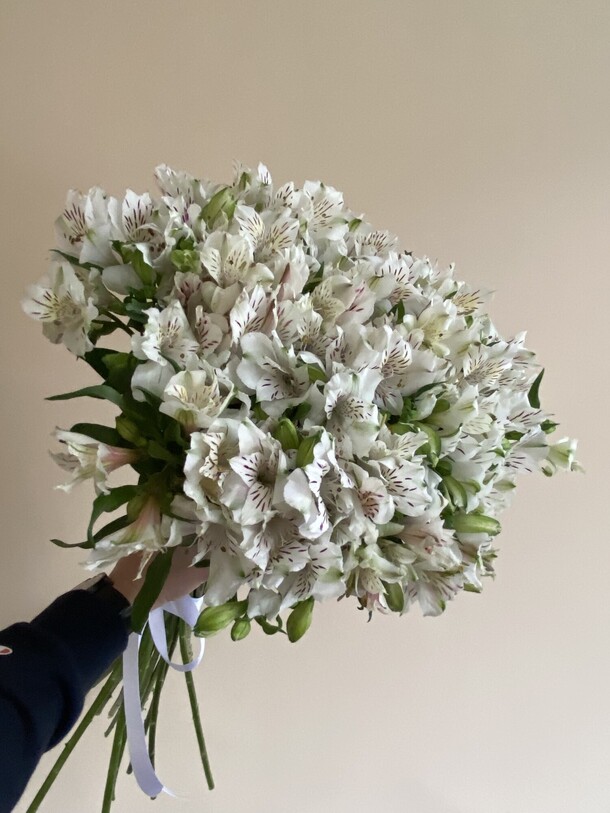 Букет из 29 альстромерий, артикул F1277637 - 5600 рублей, доставка по городу. Flawery - доставка цветов