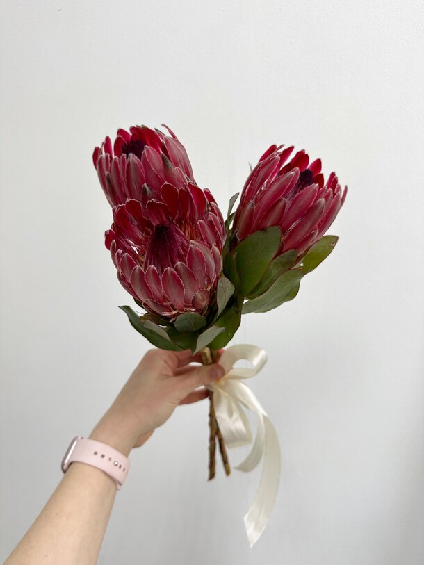 Букет из трёх протей, артикул F1284821 - 5000 рублей, доставка по городу. Flawery - доставка цветов