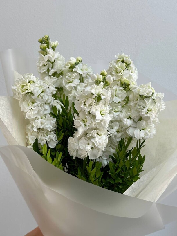 Букет из белой маттиоллы, артикул F1287336 - 5000 рублей, доставка по городу. Flawery - доставка цветов