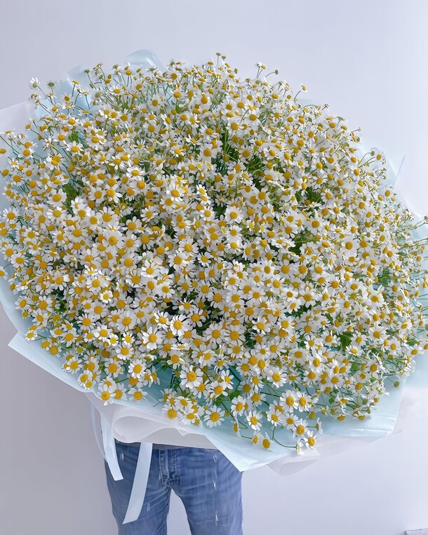 101 ромашка, артикул F1297900 - 22300 рублей, доставка по городу. Flawery - доставка цветов