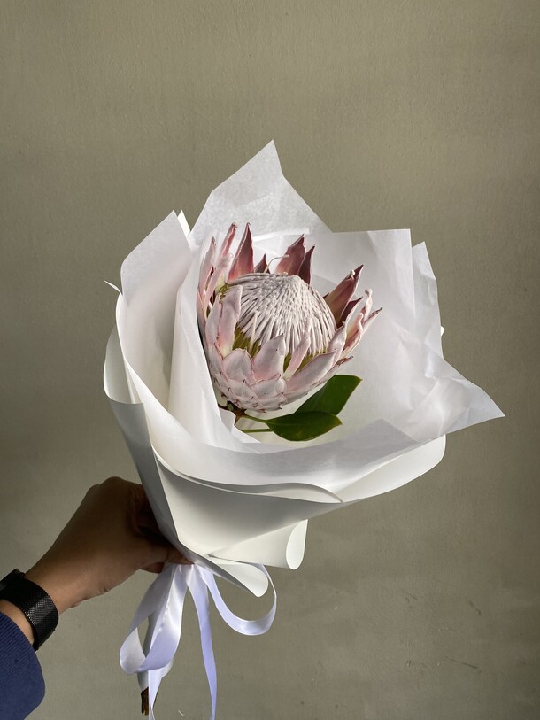 Букет из розовой протеи ц в е т к е в и ч, артикул F1306174 - 4100 рублей, доставка по городу. Flawery - доставка цветов