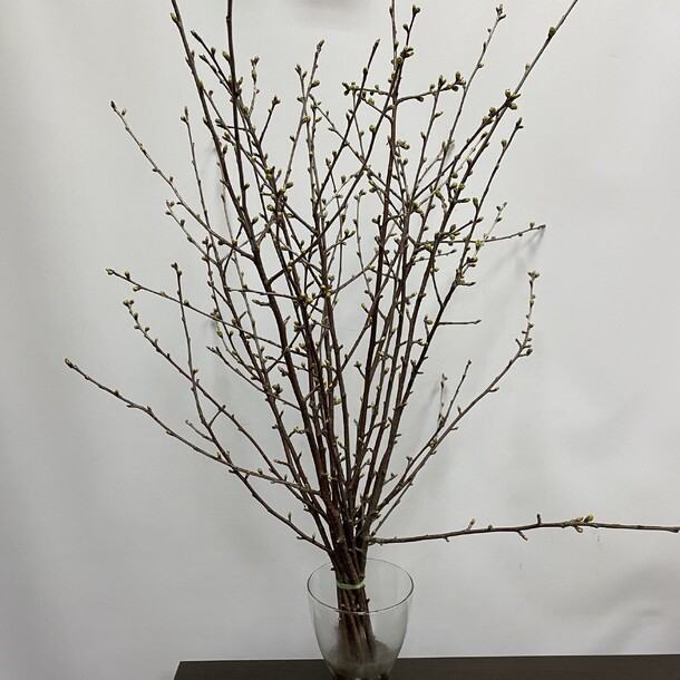 Ветки яблони, артикул F1401699 - 6000 рублей, доставка по городу. Flawery - доставка цветов