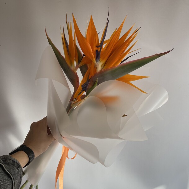 Букет из 5 стрелиций, артикул F1401700 - 8385 рублей, доставка по городу. Flawery - доставка цветов