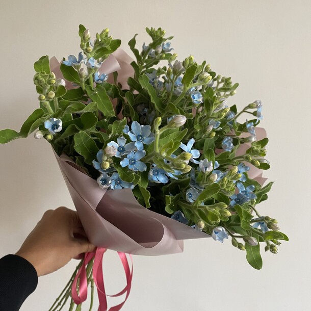 Букет из голубого оксипеталума, артикул F1464826 - 9268 рублей, доставка по городу. Flawery - доставка цветов