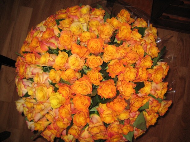 101 роза "вау", артикул F5877 - 15428 рублей, доставка по городу. Flawery - доставка цветов