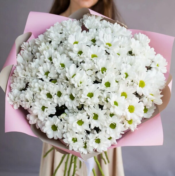 Большой букет кустовых хризантем в нежной упаковке, артикул F1143650 - 7139 рублей, доставка по городу. Flawery - доставка цветов