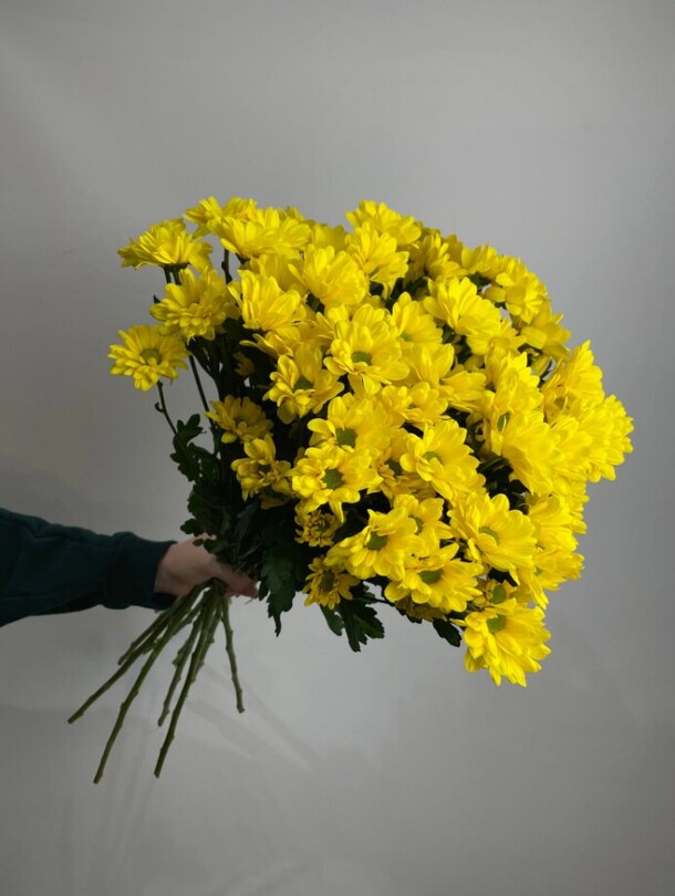 Букет желтых кустовых хризантем, артикул F1143665 - 3981 рублей, доставка по городу. Flawery - доставка цветов