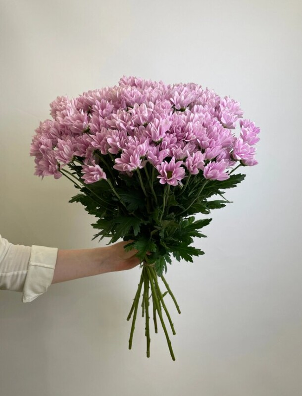 Букет сиреневых кустовых хризантем, артикул F1143668 - 5400 рублей, доставка по городу. Flawery - доставка цветов