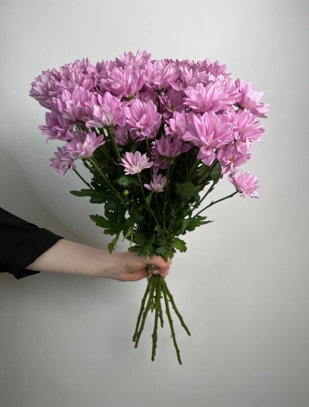 Весенний букет кустовых хризантем, артикул F1143672 - 3860 рублей, доставка по городу. Flawery - доставка цветов