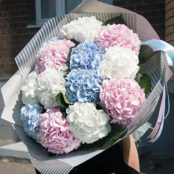 Большой букет гортензий в дизайнерской упаковке, артикул F1143933 - 16323 рублей, доставка по городу. Flawery - доставка цветов