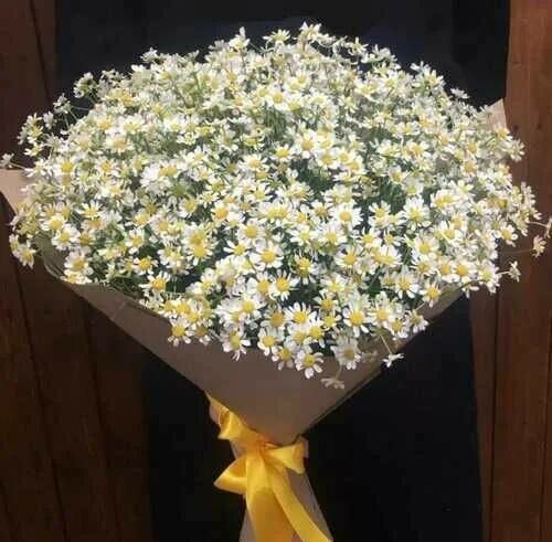 25 ромашек в крафтовой упаковке, артикул F1144841 - 7127 рублей, доставка по городу. Flawery - доставка цветов