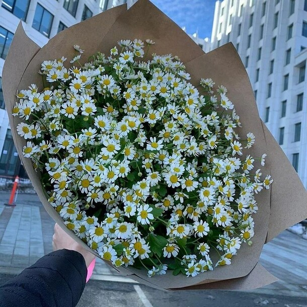 Свежий букет ромашек в крафтовой упаковке, артикул F1144845 - 7127 рублей, доставка по городу. Flawery - доставка цветов