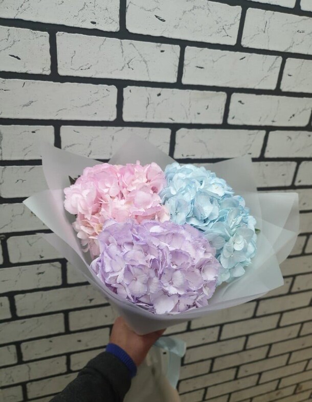 3 нежные гортензии у кирпичной кладки, артикул F1147152 - 4232 рублей, доставка по городу. Flawery - доставка цветов