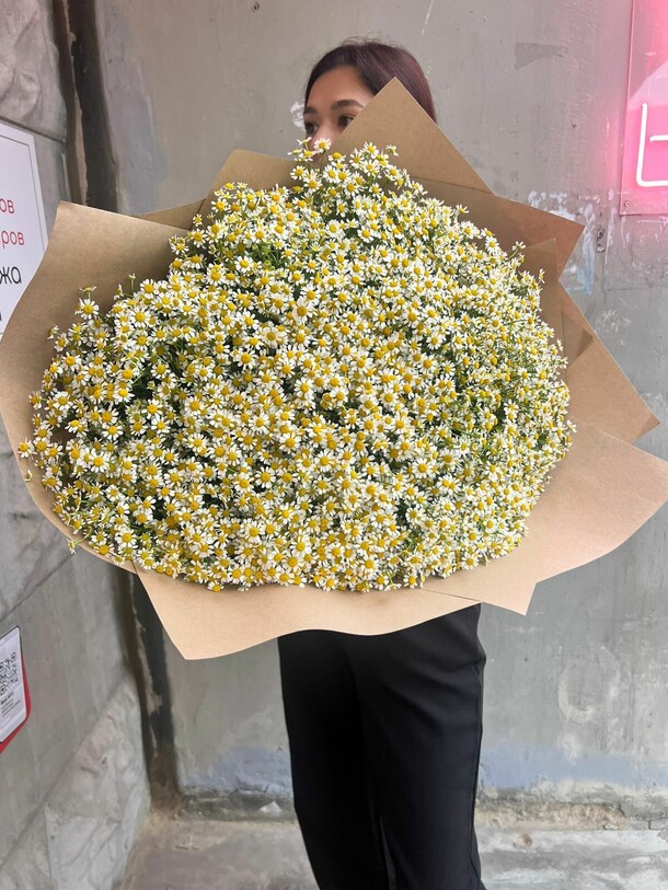 Огромный букет ромашек, артикул F1153868 - 29939 рублей, доставка по городу. Flawery - доставка цветов